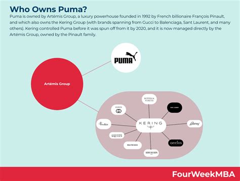 gucci puma|Puma ownership.